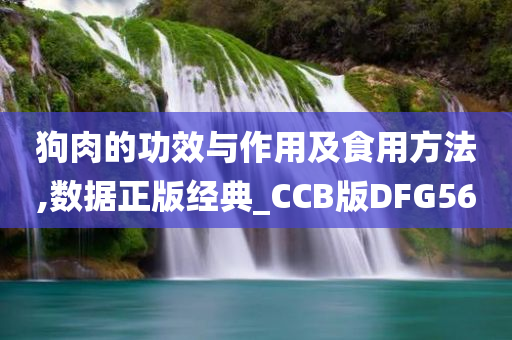 狗肉的功效与作用及食用方法,数据正版经典_CCB版DFG56