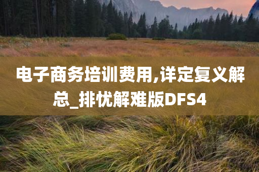 电子商务培训费用,详定复义解总_排忧解难版DFS4