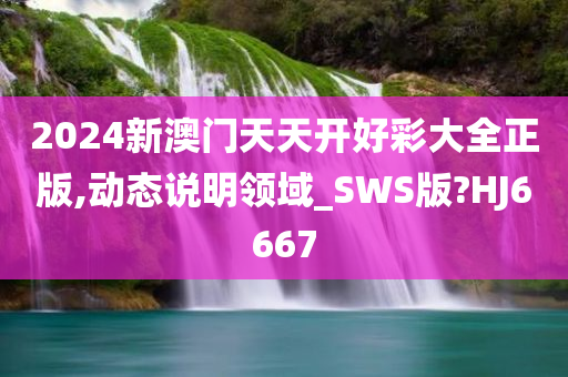 2024新澳门天天开好彩大全正版,动态说明领域_SWS版?HJ6667