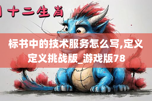 标书中的技术服务怎么写,定义定义挑战版_游戏版78