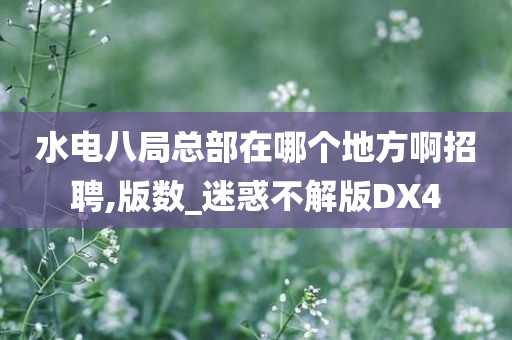 水电八局总部在哪个地方啊招聘,版数_迷惑不解版DX4