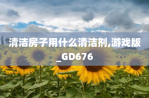 清洁房子用什么清洁剂,游戏版_GD676