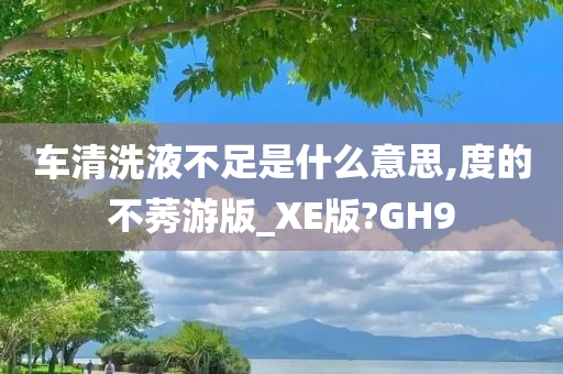 车清洗液不足是什么意思,度的不莠游版_XE版?GH9