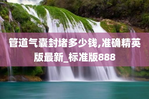 管道气囊封堵多少钱,准确精英版最新_标准版888
