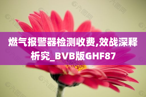 燃气报警器检测