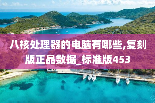 八核处理器的电脑有哪些,复刻版正品数据_标准版453