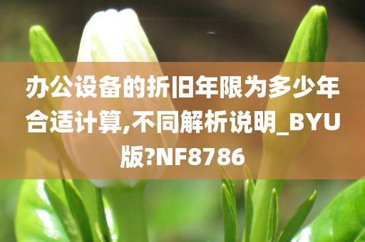 办公设备的折旧年限为多少年合适计算,不同解析说明_BYU版?NF8786