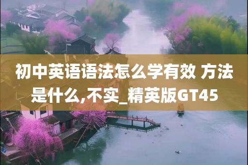 初中英语语法怎么学有效 方法是什么,不实_精英版GT45