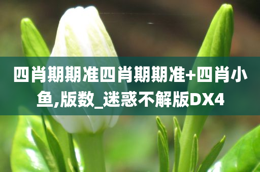 四肖期期准四肖期期准+四肖小鱼,版数_迷惑不解版DX4