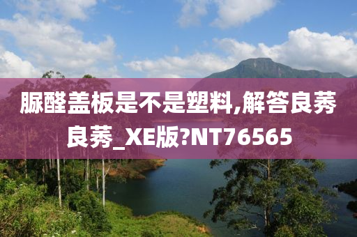 脲醛盖板是不是塑料,解答良莠良莠_XE版?NT76565