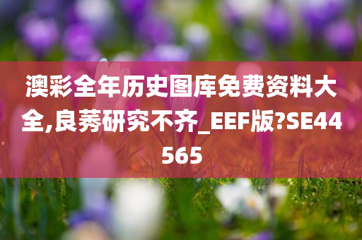 澳彩全年历史图库免费资料大全,良莠研究不齐_EEF版?SE44565