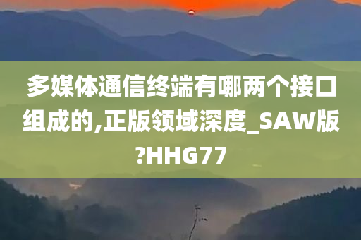 多媒体通信终端有哪两个接口组成的,正版领域深度_SAW版?HHG77