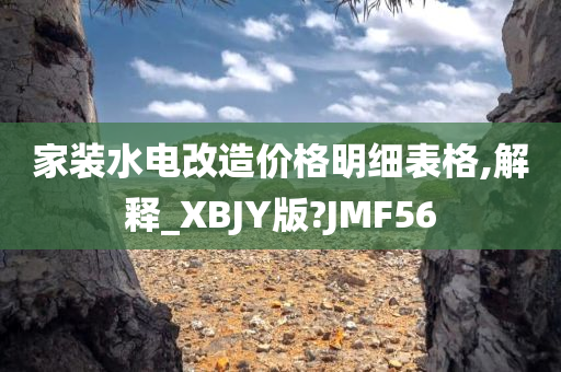 家装水电改造价格明细表格,解释_XBJY版?JMF56今晚必出三肖2025_2025新澳门精准免费提供·精确判断