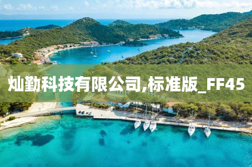 灿勤科技有限公司,标准版_FF45