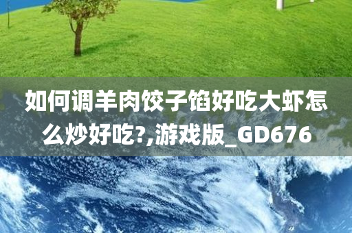 如何调羊肉饺子馅好吃大虾怎么炒好吃?,游戏版_GD676