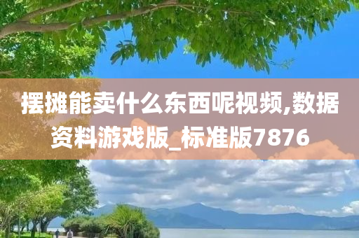 摆摊能卖什么东西呢视频,数据资料游戏版_标准版7876