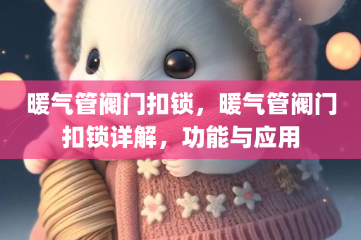 暖气管阀门扣锁，暖气管阀门扣锁详解，功能与应用