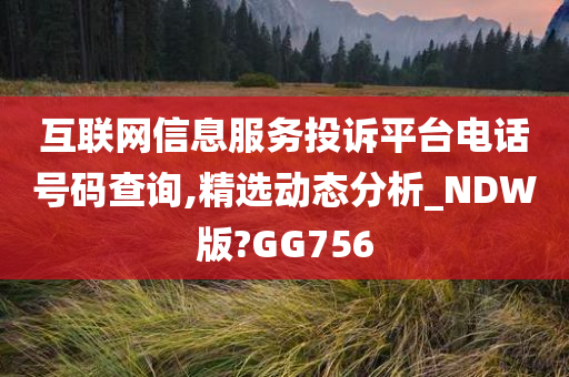 互联网信息服务投诉平台电话号码查询,精选动态分析_NDW版?GG756