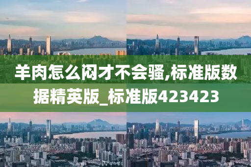 羊肉怎么闷才不会骚,标准版数据精英版_标准版423423