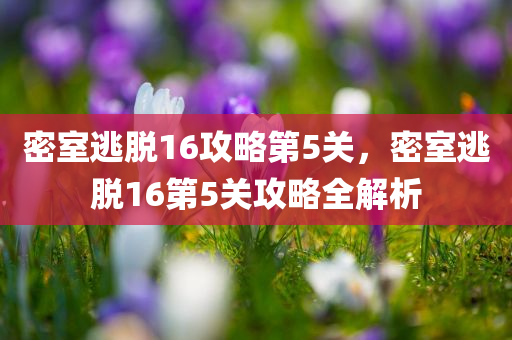 密室逃脱16攻略第5关，密室逃脱16第5关攻略全解析