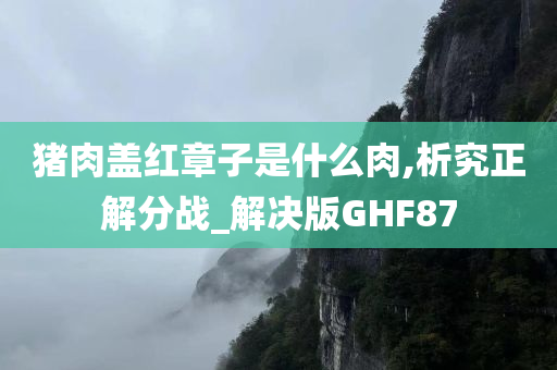 猪肉盖红章子是什么肉,析究正解分战_解决版GHF87