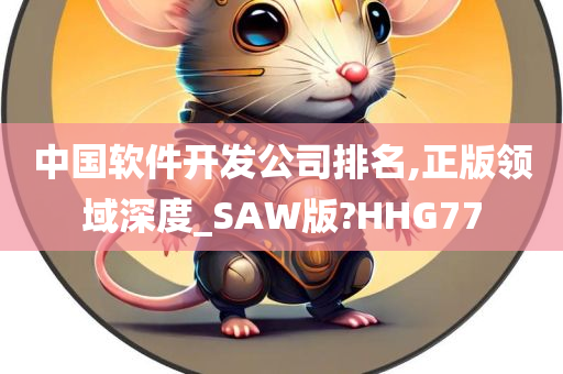 中国软件开发公司排名,正版领域深度_SAW版?HHG77
