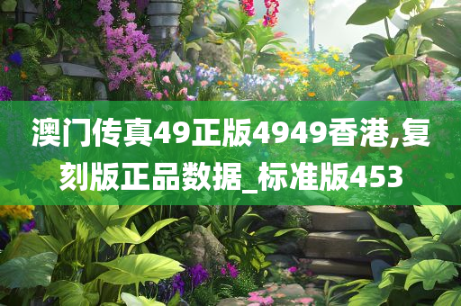 澳门传真49正版4949香港,复刻版正品数据_标准版453