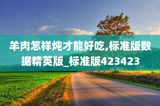 羊肉怎样炖才能好吃,标准版数据精英版_标准版423423