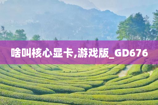 啥叫核心显卡,游戏版_GD676今晚必出三肖2025_2025新澳门精准免费提供·精确判断