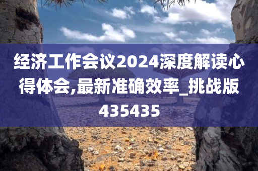 经济工作会议2024深度解读心得体会,最新准确效率_挑战版435435