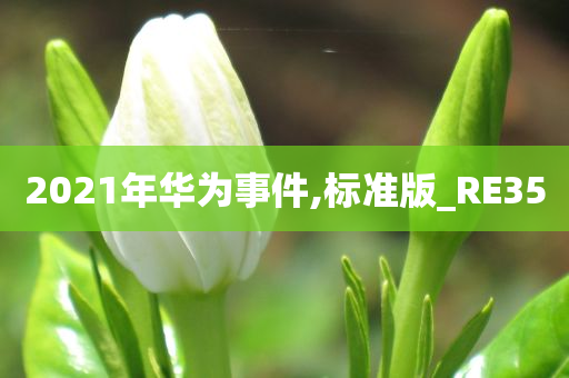2021年华为事件,标准版_RE35