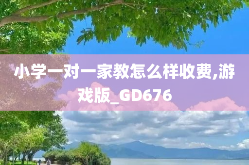 小学一对一家教怎么样收费,游戏版_GD676今晚必出三肖2025_2025新澳门精准免费提供·精确判断