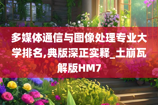 多媒体通信与图像处理专业大学排名,典版深正实释_土崩瓦解版HM7
