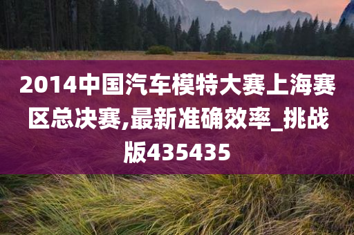 汽车模特大赛