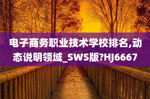 电子商务职业技术学校排名,动态说明领域_SWS版?HJ6667