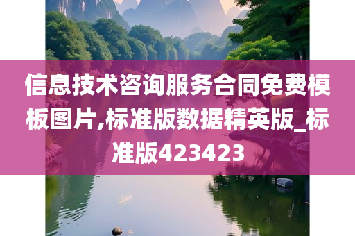 信息技术咨询服务合同免费模板图片,标准版数据精英版_标准版423423