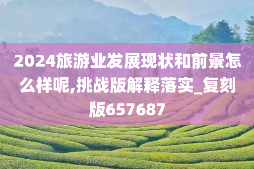 2024旅游业发展现状和前景怎么样呢,挑战版解释落实_复刻版657687