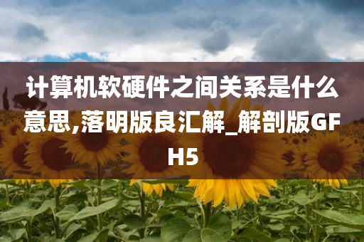 计算机软硬件之间关系是什么意思,落明版良汇解_解剖版GFH5