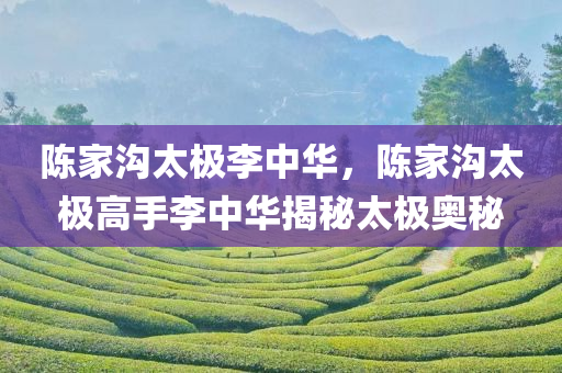 陈家沟太极李中华，陈家沟太极高手李中华揭秘太极奥秘