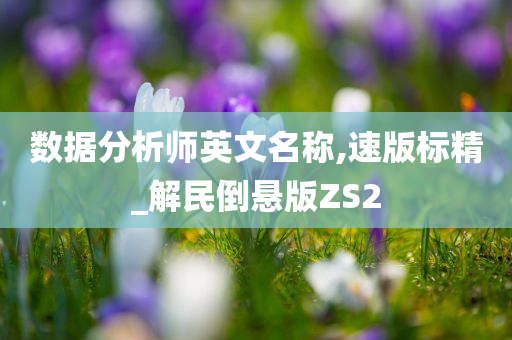 数据分析师英文名称,速版标精_解民倒悬版ZS2