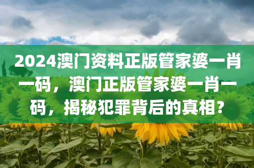 2024澳门资料正版管家婆一肖一码，澳门正版管家婆一肖一码，揭秘犯罪背后的真相？