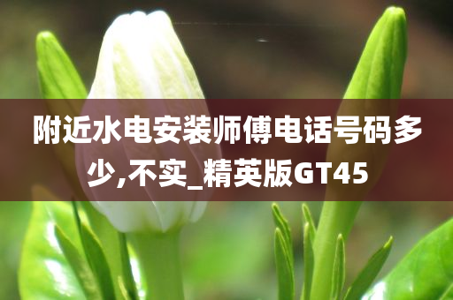 附近水电安装师傅电话号码多少,不实_精英版GT45