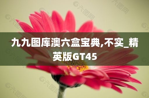 九九图库澳六盒宝典,不实_精英版GT45