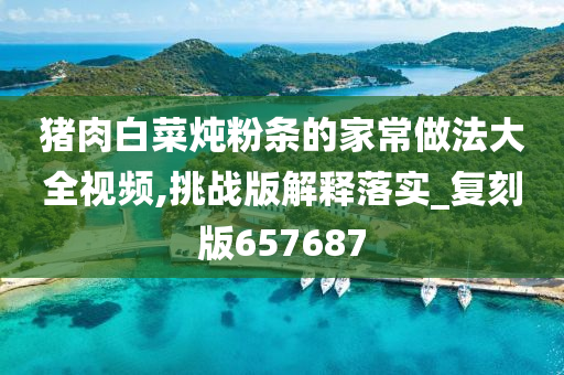 猪肉白菜炖粉条的家常做法大全视频,挑战版解释落实_复刻版657687