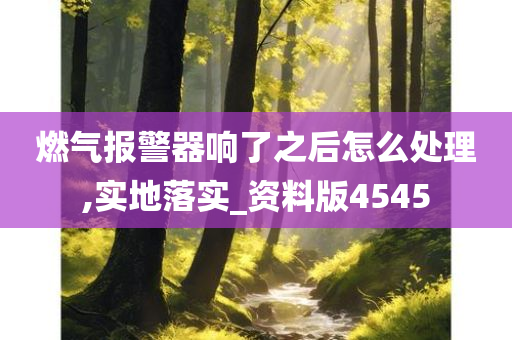 燃气报警器响了之后怎么处理,实地落实_资料版4545