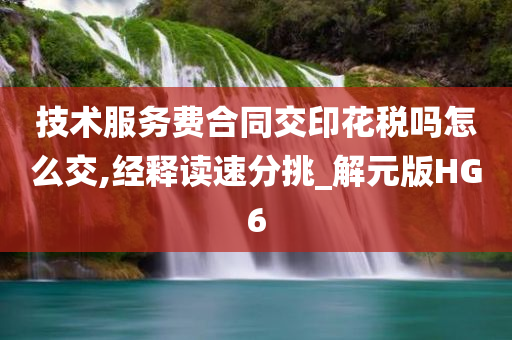 技术服务费合同交印花税吗怎么交,经释读速分挑_解元版HG6