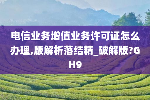 电信业务增值业务许可证怎么办理,版解析落结精_破解版?GH9
