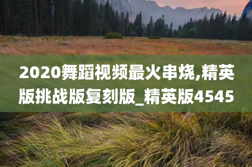 2020舞蹈视频最火串烧,精英版挑战版复刻版_精英版4545