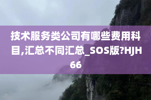 技术服务类公司有哪些费用科目,汇总不同汇总_SOS版?HJH66