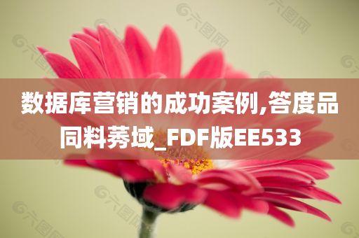 成功案例